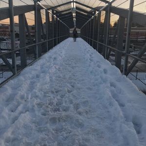 Meet your Posher, Reyna